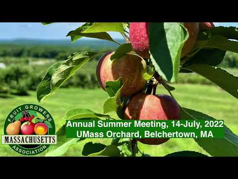 MFGA Annual Summer Meeting 2022 - Stop 1, apple variety evaluation