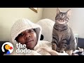Meet The World S Clingiest Cat The Dodo
