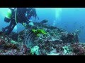2D Cocos Island Part II