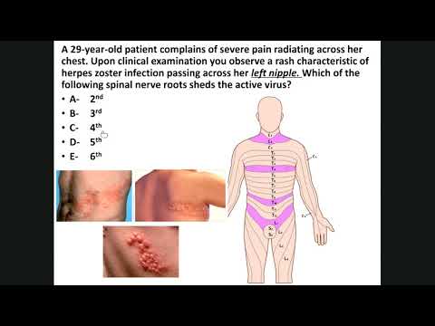 Thoracic wall muscles & nerves (Foundation A-6)