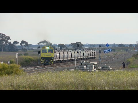 Short 7764V QUBE Grain Train (10/7/2020) - PoathTV Australian Railways