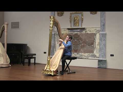 Suoni d'Arpa 2019 - Martin Sadilek