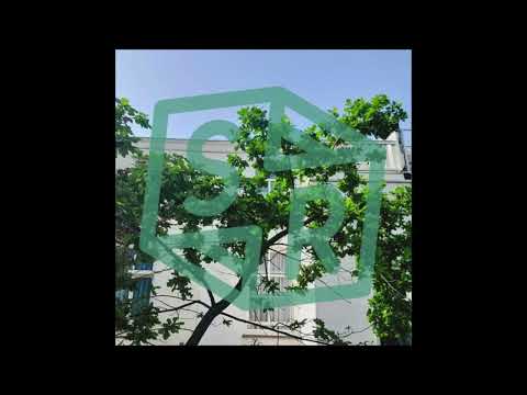 Stately Podcast 09 - dubtommy