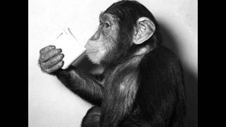 Mista Tea - Cosmic Horn