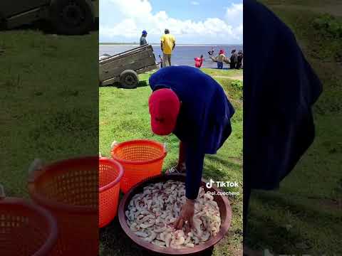 puerto cabezas región autónoma costa Caribe norte bilwi