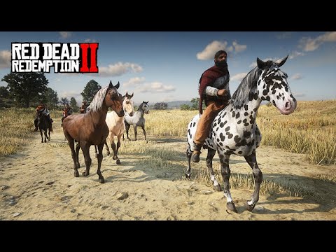 Tomando os CAVALOS DOS FAZENDEIROS - DEL LOBOS -  A Fazenda de John Marston