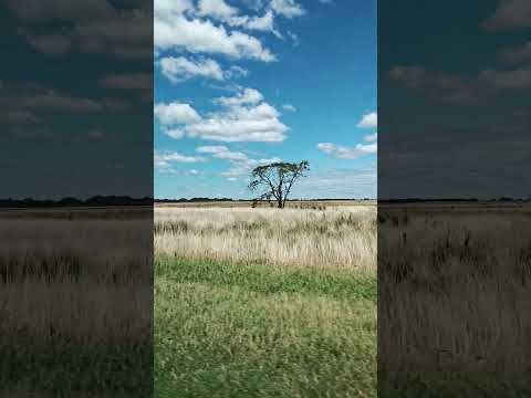 Saliendo de Lincoln provincia de Buenos Aires