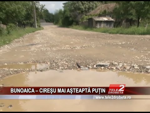 BUNOAICA – CIREȘU MAI AȘTEAPTĂ PUȚIN