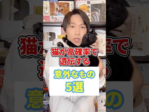 猫が高確率で遺伝する意外なもの５選 #猫 #猫のいる暮らし #ねこ