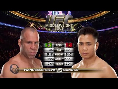 Wanderlei Silva vs Cung Le