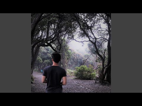 Video thumbnail for Forest Walk (Instrumental)