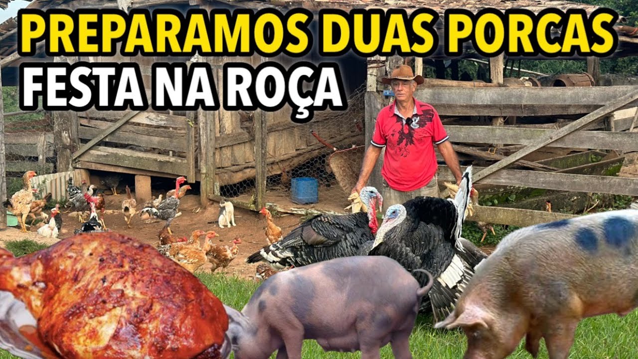 DIA DE ASSAR 2 PORCAS NA ROÇA DO VARDINHO