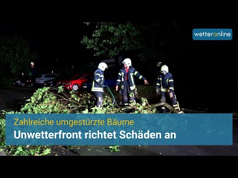 Unwetter in Deutschland: Umgestürzte Bäume im Süden