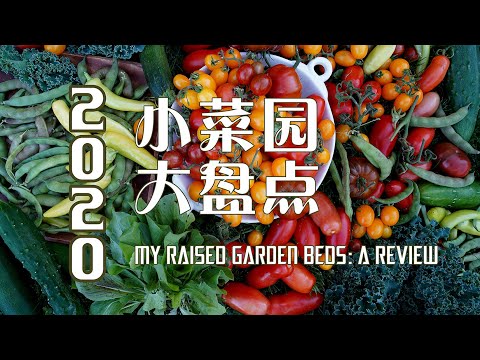 , title : '2020年小菜园大盘点    MY RAISED GARDEN BEDS 2020: A REVIEW (中英文字幕、CHINESE & ENGLISH SUBTITLES)'