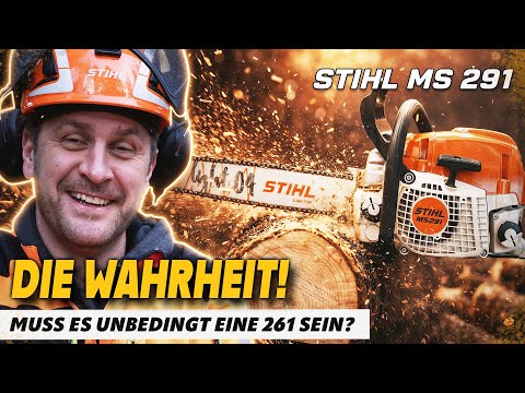 STIHL MS 291: More than expected? Forest test & honest conclusion