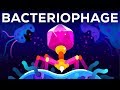 The Deadliest Being on Planet Earth – The Bacterio...