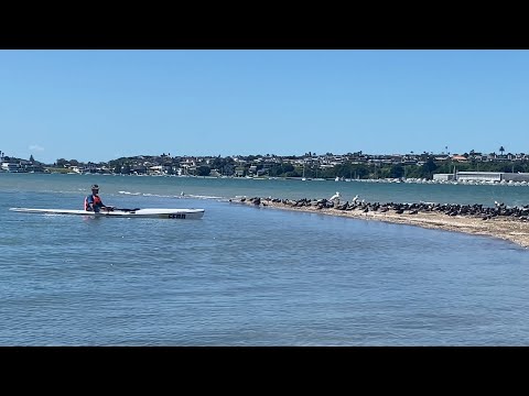 Kayak trip to Tahuna Torea nature reserve