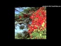 The Aliens - Daffodils
