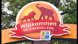 preview picture of video 'The Hannover Adventure Zoo - As Experienced by A German-American Couple in Germany'