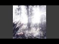 LO0K Ultra Slowed