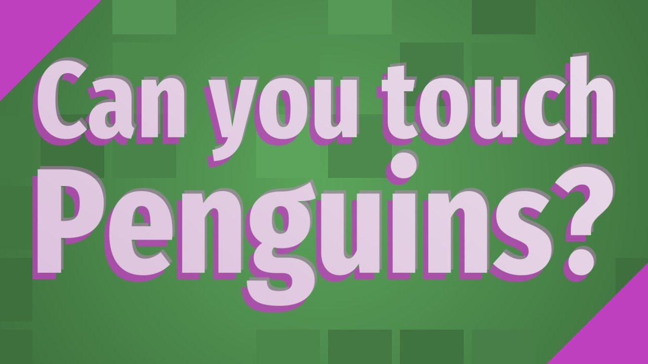 Can a felon rent an apartment in California? Tipseri