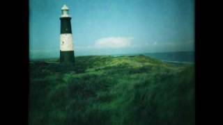 Cover Your Tracks - Blue Roses