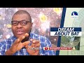 BIBLICAL MEANING OF BATS IN DREAM -  Evangelist Joshua Orekhie