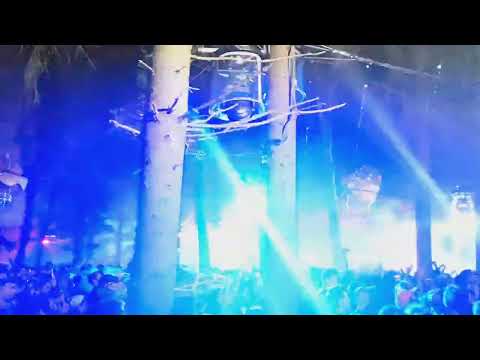 Ikarus 2022 - Falscher Hase 🐰