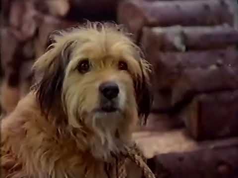 Disney's Benji the Hunted TV Spot (1987)