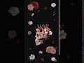 [Samsung Theme Live Wallpaper] Skull Rose_playl