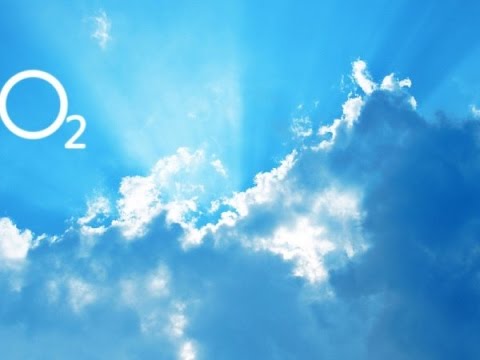 Group 16, the oxygen group