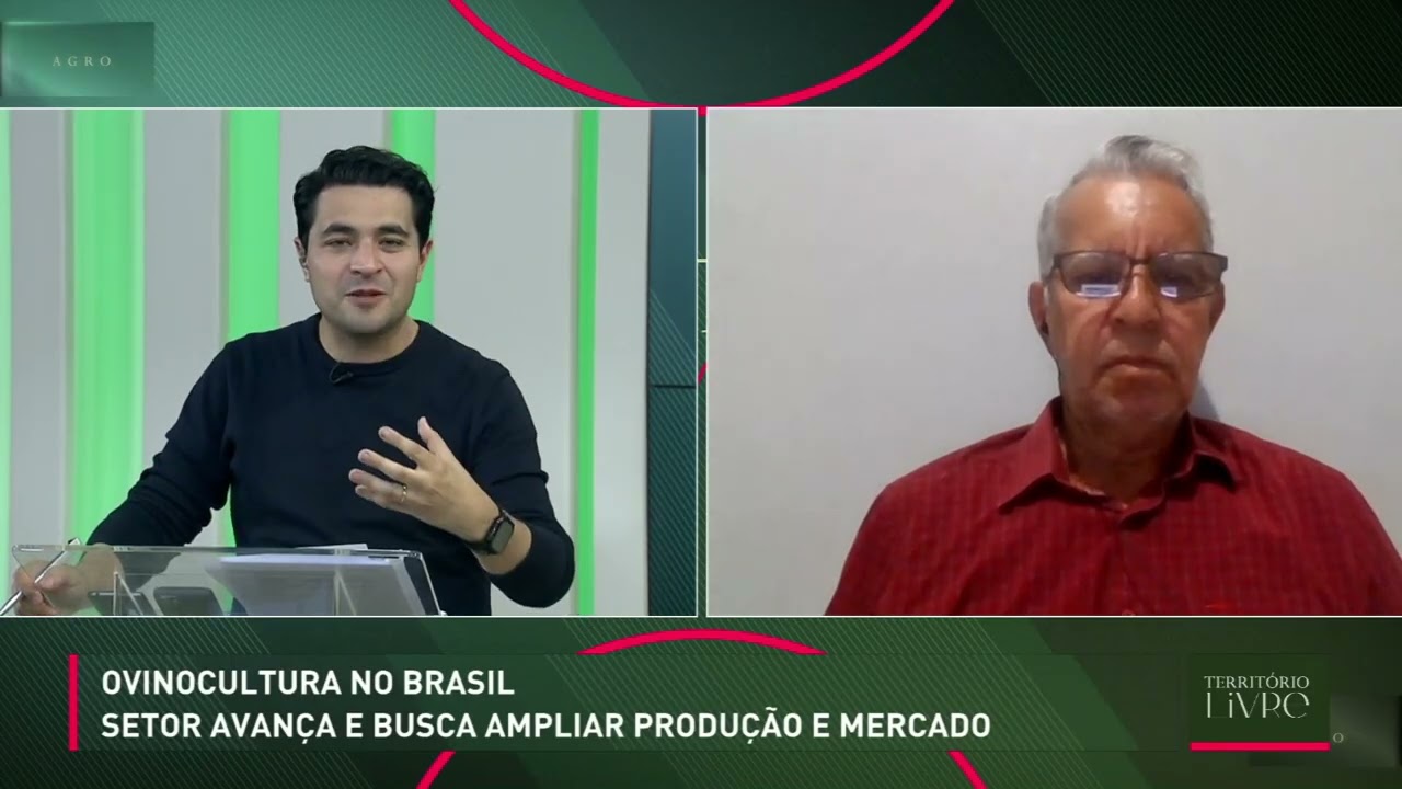 Ovinocultura no Brasil avança e busca ampliar produção e mercado