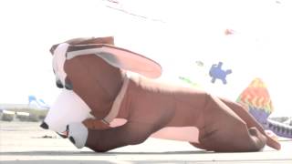 The Amber Herd - Kite