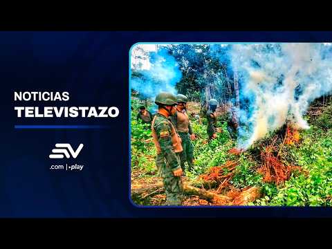 Ejército de Ecuador halló 10 mil plantas de coca en Putumayo, Sucumbios | Televistazo | Ecuavisa