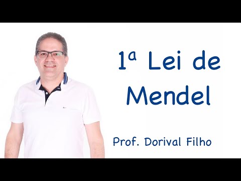 1a Lei de Mendel