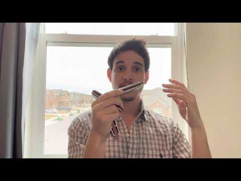 The best harmonica for beginners?