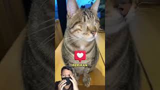 Download lagu semua yg dimakan keluar lagi dr tubuh wanita ini #shorts #ikinswara mp3