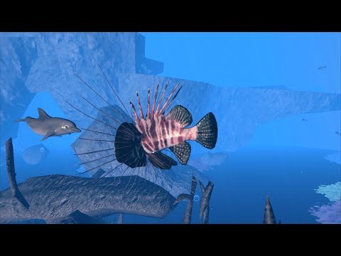 Dolphin Family Simulator| Ultimate Ocean Simulator| By Gluten Free games - YouTube