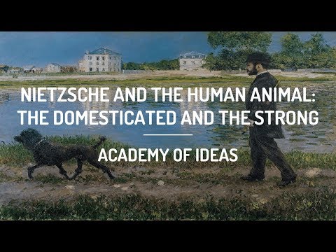 Nietzsche and The Human Animal: The Domesticated and The Strong