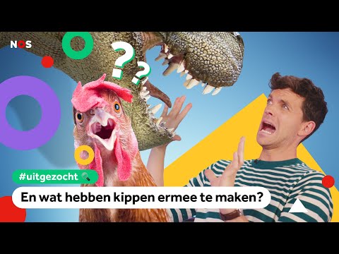 Kunnen we dino's weer tot leven wekken? 🦖 | Uitgezocht #43