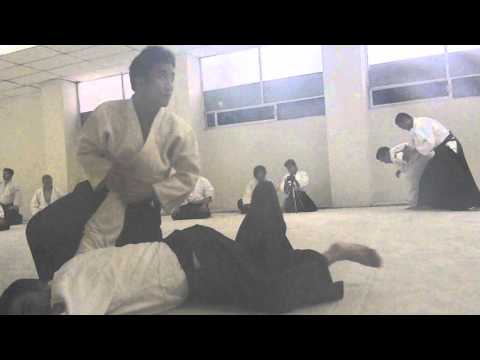 Waka Sensei (Mitsuteru Ueshiba) Ai hanmi katate dori Nikyo