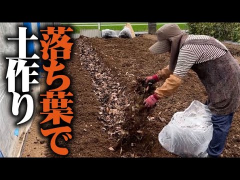 枯れ葉のアイデアを再利用する