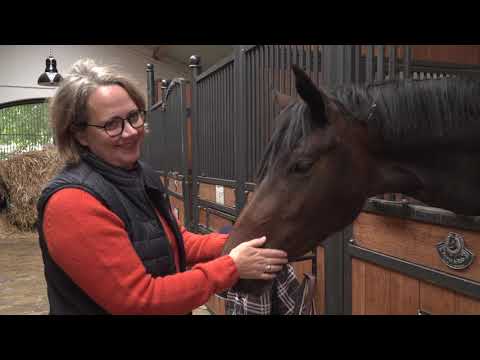 HSR Trakehner Tour - Gut Staffelde - 5. Etappe