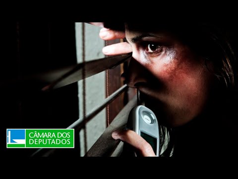 Violência doméstica e familiar e seus impactos no Poder Judiciário - Defesa da Mulher - 07/12/2023
