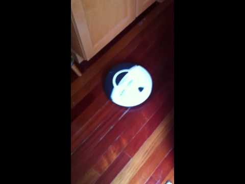 User submitted video