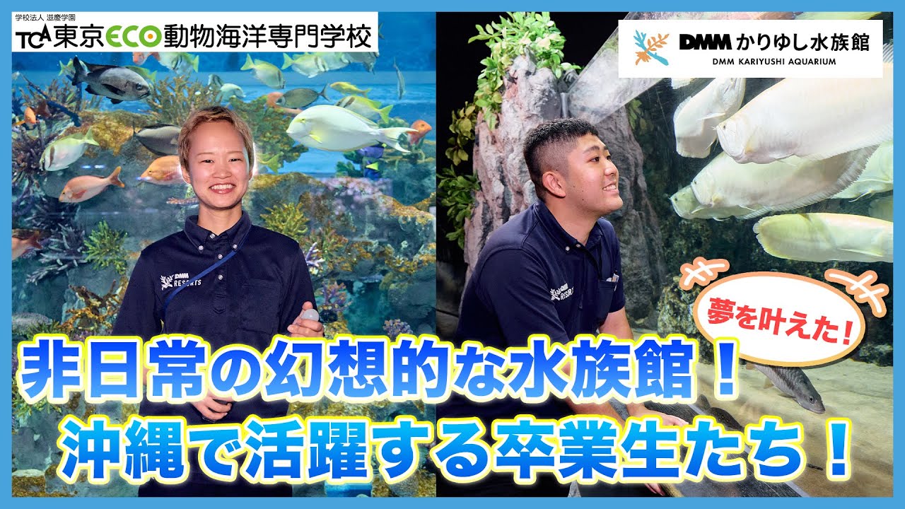 DMMかりゆし水族館で飼育員として活躍する卒業生たちにインタビュー！