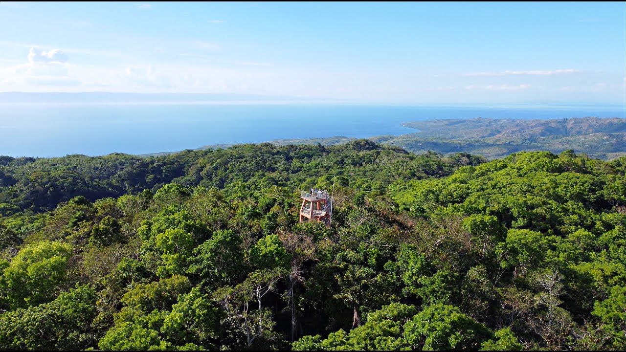 Duve into a walking tour of Mount Bandilaan National Park.