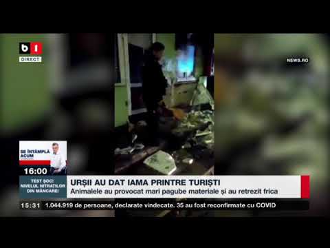 URSII AU DAT IAMA PRINTRE TURISTI_Stiri B1_18 iunie 2021