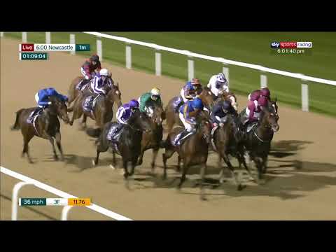 Kameko - Group 1 Vertem Futurity Trophy 2019