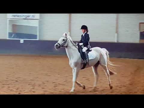 Mariah wins 2nd price F3 manege de ruif